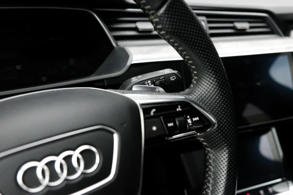 Foto 45 van fotogallerij Audi E-Tron 55 Quattro S-Line Pro Line Plus uit 2019