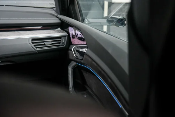 Foto 38 van fotogallerij Audi E-Tron 55 Quattro S-Line Pro Line Plus uit 2019