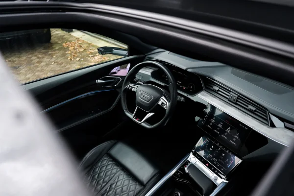 Foto 25 van fotogallerij Audi E-Tron 55 Quattro S-Line Pro Line Plus uit 2019