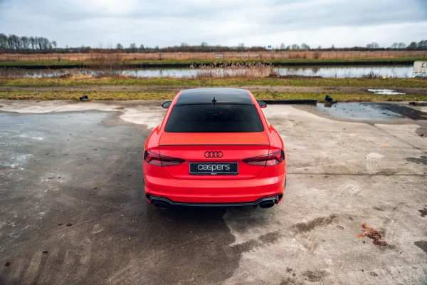 Foto 6 van fotogallerij Audi RS5 Coupe uit 2018