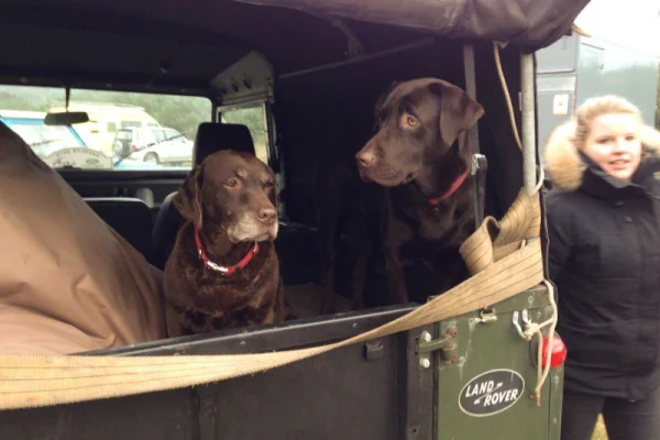 Foto in gallerij voor artikel Garage Caspers op 4x4 Drenthe Havelte