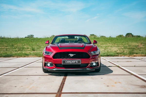 Foto 4 van fotogallerij Ford Mustang uit 2017