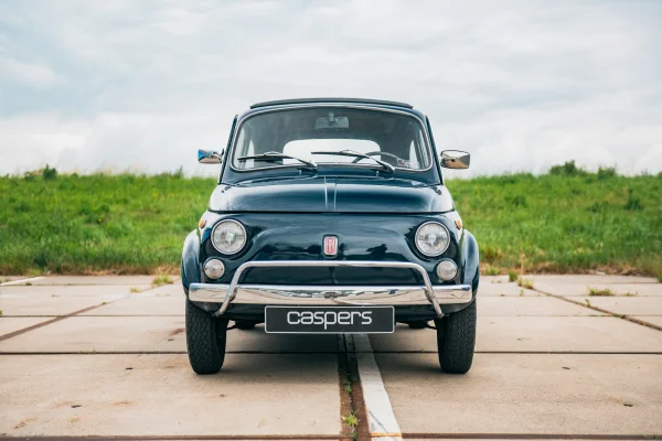 Foto 6 van fotogallerij Fiat 500 L uit 1971