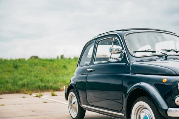 Foto 8 van fotogallerij Fiat 500 L uit 1971