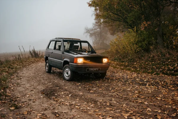 Foto 25 van fotogallerij Fiat Panda 4x4 uit 1986