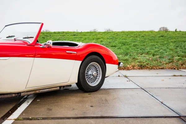Foto 10 van fotogallerij Austin Healey 100/6 uit 1958