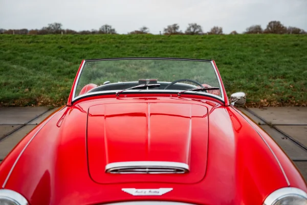 Foto 16 van fotogallerij Austin Healey 100/6 uit 1958