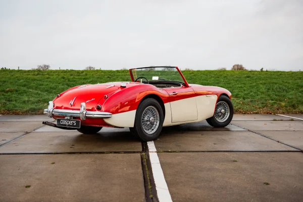 Foto 9 van fotogallerij Austin Healey 100/6 uit 1958