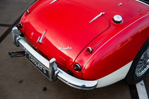 Foto 18 van fotogallerij Austin Healey 100/6 uit 1958