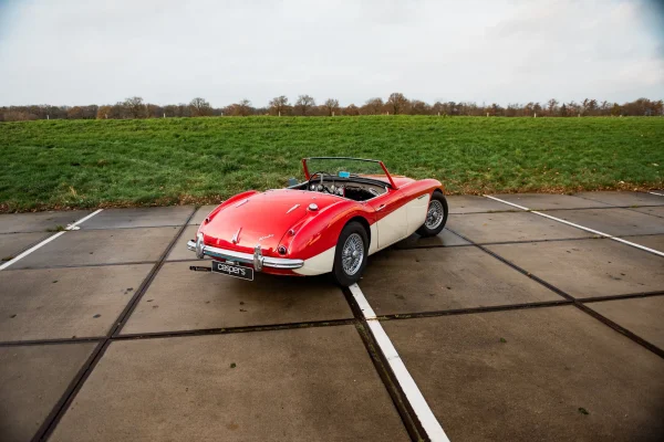 Foto 13 van fotogallerij Austin Healey 100/6 uit 1958