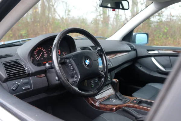 Foto 10 van fotogallerij BMW X5 4.4i V8 uit 2001