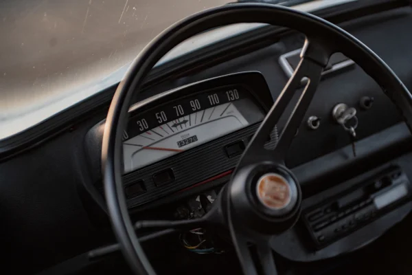 Foto 5 van fotogallerij Fiat 500 L uit 1973