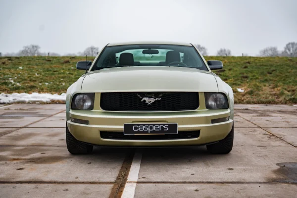 Foto 2 van fotogallerij Ford Mustang uit 2005
