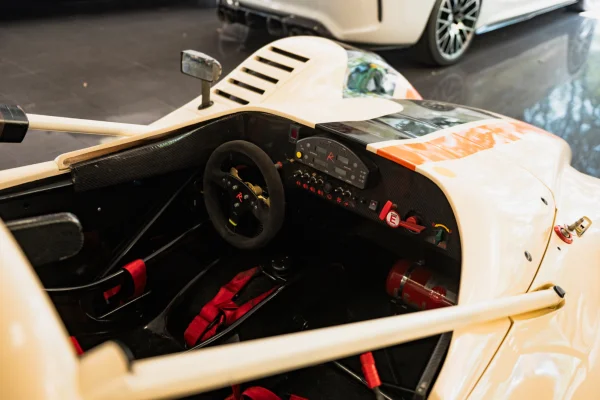 Foto 1 van fotogallerij Radical SR8 V8 uit 2008