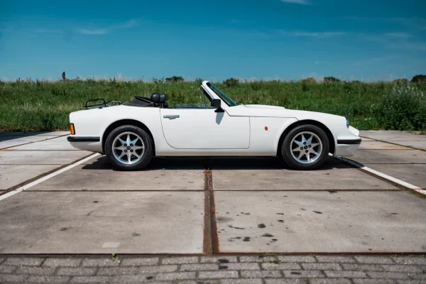 Foto 4 van fotogallerij TVR 290 S3C uit 1990