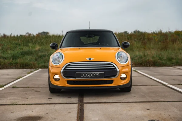 Foto 2 van fotogallerij MINI Cooper Pepper uit 2015