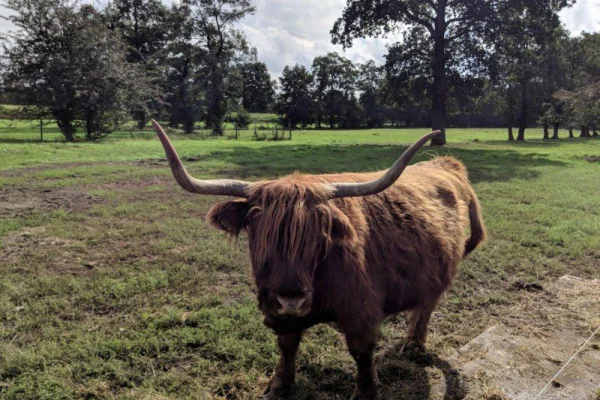 Foto in gallerij voor artikel Verslag netwerk rally 2018