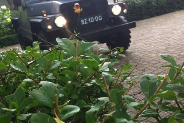 Foto in gallerij voor artikel Land Rover 88 Lightweight restauratie
